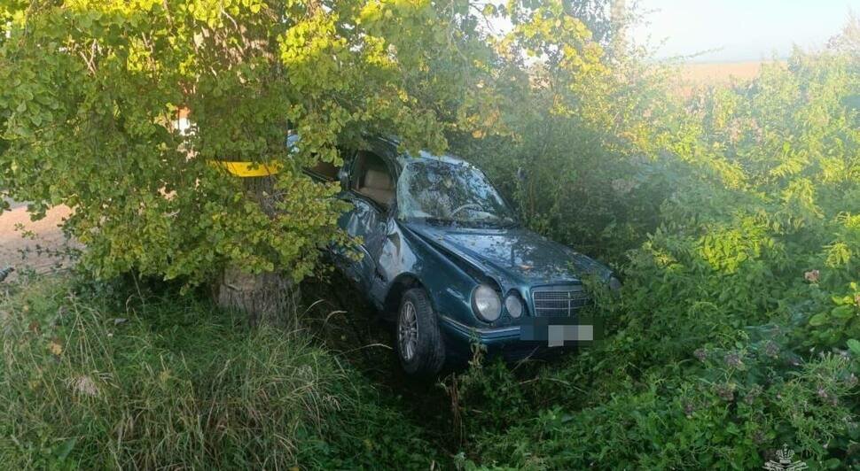 В Багратионовском районе легковушка врезалась в дерево, пострадали шесть человек - Новости Калининграда | Фото: МЧС региона