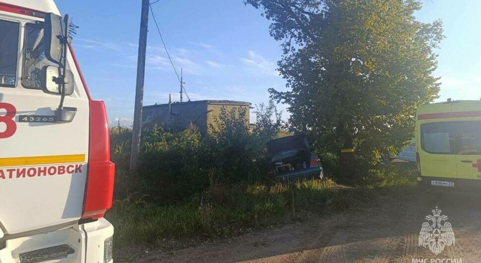 В Багратионовском районе легковушка врезалась в дерево, пострадали шесть человек - Новости Калининграда | Фото: МЧС региона