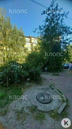 На Озёрной крупное дерево рухнуло на машину и перегородило проезд (фото) - Новости Калининграда | Фото: очевидец