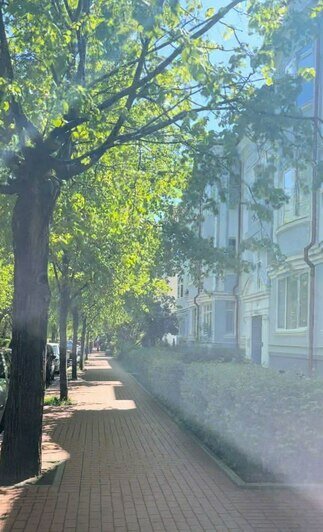Туристка из Москвы рассказала, как Калининград помог «зарядить батарейки» и почему лучший транспорт — общественный - Новости Калининграда | Фото: архив Дарии