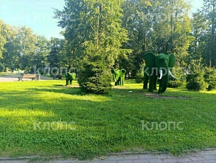 В Детском парке Советска посетители «проели плешь» слонам и лошадкам (фото)    - Новости Калининграда | Фото: Ангелина