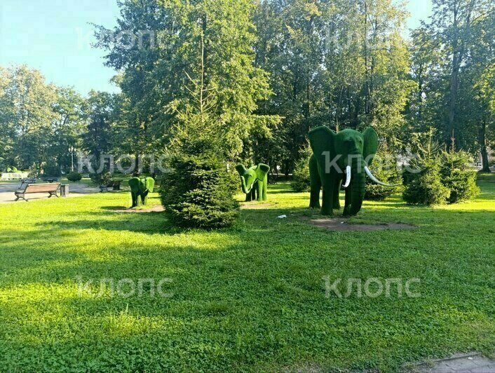 В Детском парке Советска посетители «проели плешь» слонам и лошадкам (фото)    - Новости Калининграда | Фото: Ангелина