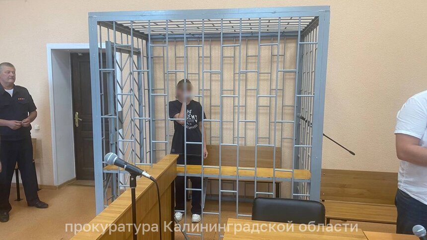 Ревнивицу из Светлого, которая во время застолья схватилась за нож и пырнула соседа, взяли под стражу - Новости Калининграда | Фото: прокуратура Калининградской области 