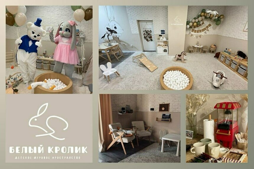 «Белый кролик» приглашает в гости - Новости Калининграда