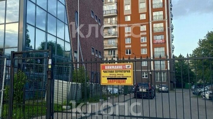 Что случилось в Калининградской области: главное на 19 августа - Новости Калининграда | Фото: очевидцы