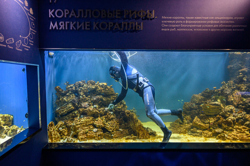 Аквалангисты работают каждый день посменно | Фото: Оксана Сазонова