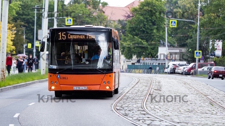 В Калининграде запускают новый автобус, который свяжет Сельму с Московским через Невского (онлайн-схема) - Новости Калининграда | Фото: Александр Подгорчук / Архив «Клопс»
