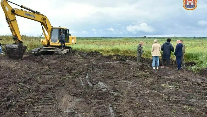 Интерес есть: власти Калининградской области хотят поставлять калийные удобрения в Эмираты - Новости Калининграда | Фото: минсельхоз Калининградской области
