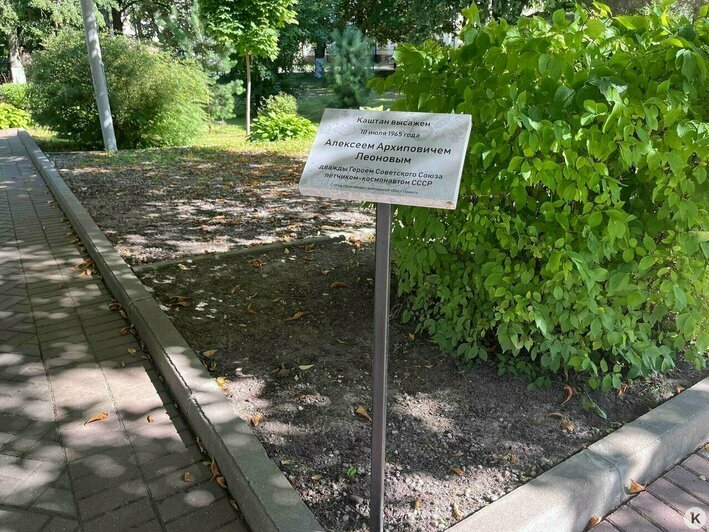 В Калининграде реставрируют школу, где учился Алексей Леонов (фото) | Фото: «Клопс»