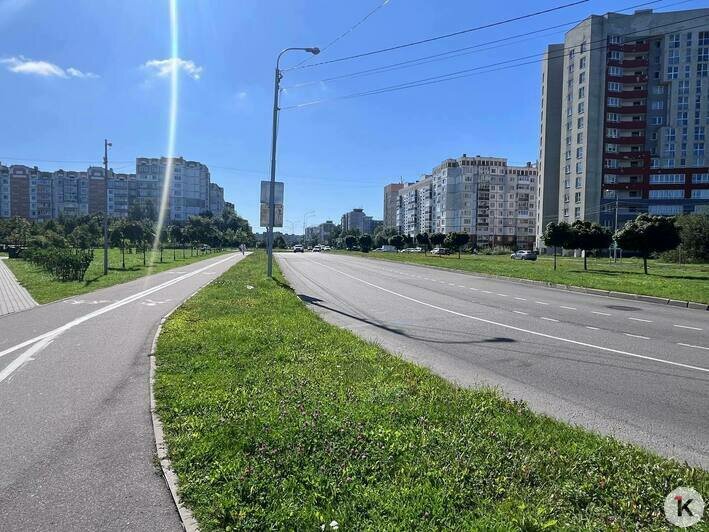 Разметка навела порядок: калининградские водители оценили схему движения на вытянутом кольце на Сельме (фоторепортаж) - Новости Калининграда | Фото: «Клопс»