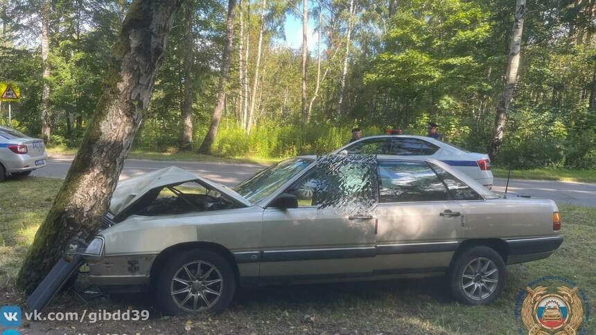 В Светлом легковушка влетела в дерево, водитель скончался на месте - Новости Калининграда | Фото: ГАИ региона
