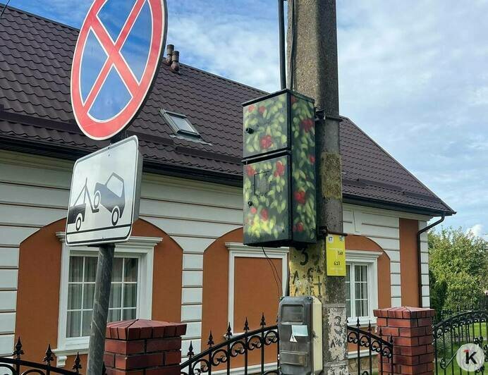 Катюша, летний сад и электросамокат: калининградский художник Кирилл Гейнц заканчивает в муниципалитетах области новую серию муралов и граффити (фото)  - Новости Калининграда | Фото: Кирилл Гейнц