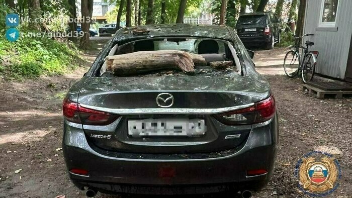 Что случилось в Калининградской области: главное на 22 августа - Новости Калининграда | Фото: пресс-служба Северо-Западной транспортной прокуратуры