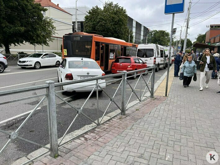 Не транспорт для пассажиров, а люди — для удобства перевозчика: 4 вещи, которые раздражают калининградцев  - Новости Калининграда | Фото: «Клопс»