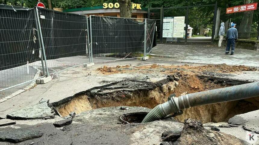 «Большой кипиш на Чайковского»: в «Водоканале» назвали причину провала у зоопарка и сроки окончания работ - Новости Калининграда | Фото: «Клопс»