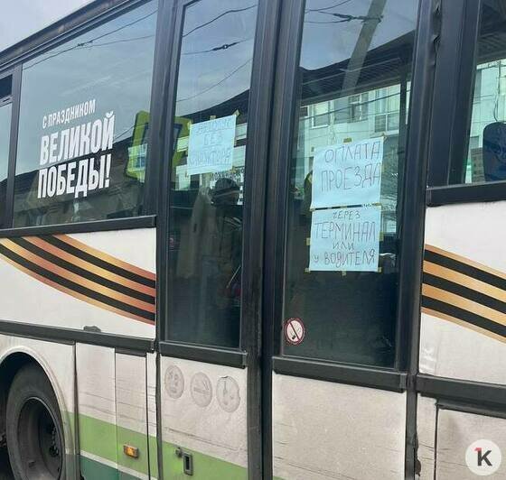 Не транспорт для пассажиров, а люди — для удобства перевозчика: 4 вещи, которые раздражают калининградцев  - Новости Калининграда | Фото: «Клопс»