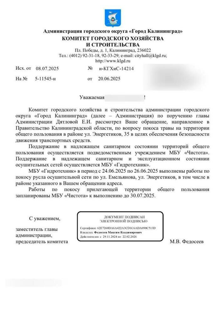 Калининградка попала в ДТП из-за кустов у дороги, которые не раз просила убрать, но чиновники лишь отмахивались (фото) - Новости Калининграда