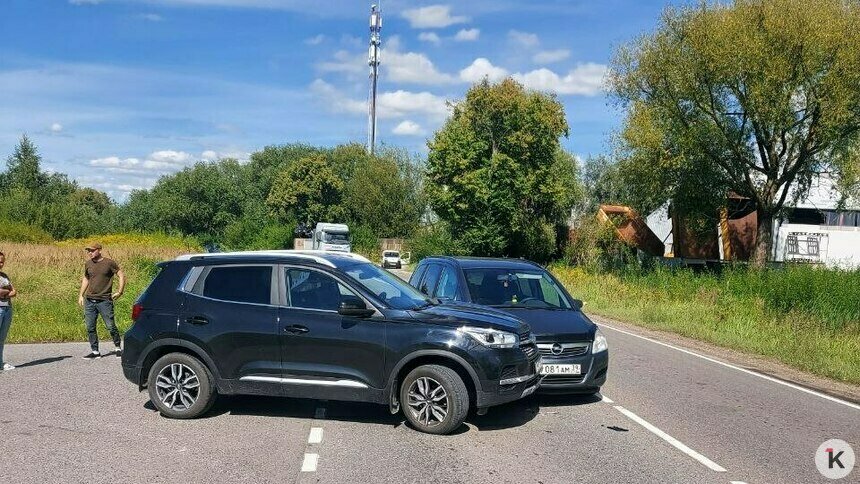 Калининградка попала в ДТП из-за кустов у дороги, которые не раз просила убрать, но чиновники лишь отмахивались (фото) - Новости Калининграда | Фото читателя