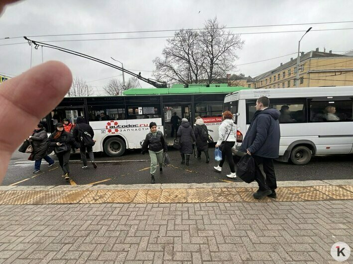 Не транспорт для пассажиров, а люди — для удобства перевозчика: 4 вещи, которые раздражают калининградцев  - Новости Калининграда | Фото: «Клопс»