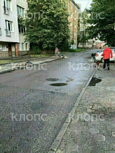 Жгут свечи и сушат подвал: несколько домов в центре Калининграда остались без света из-за подтопления - Новости Калининграда | Фото очевидцев
