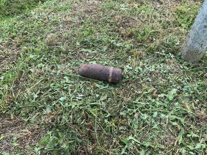 Покосили траву, а там сюрприз: калининградец нашёл во дворе своего дома снаряд (фото)  - Новости Калининграда | Фото: очевидец 