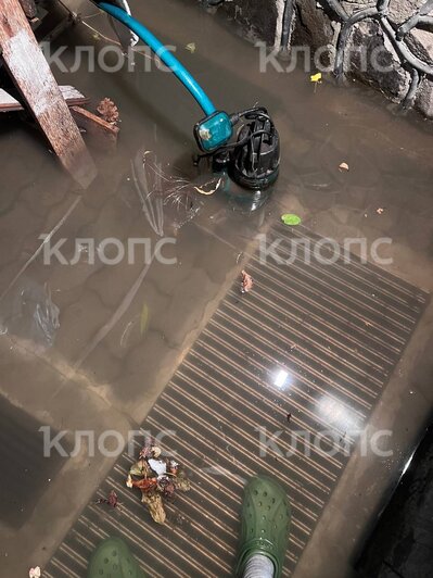 Затопленный подвал одного из домов в Зеленоградске | Фото: очевидец 