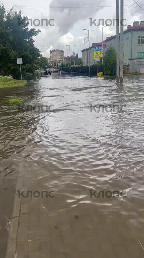 посёлок Васильково, улица Калининградская  | Фото: очевидец 