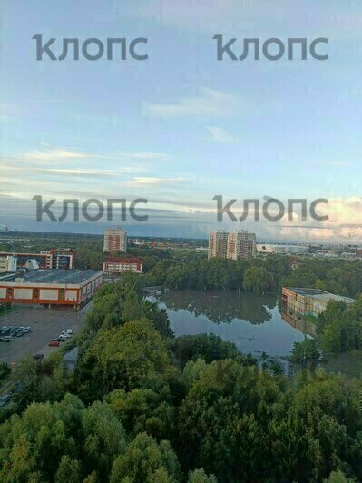 Московский проспект затопило так, что пришлось менять маршрут троллейбусов и искать стадион (фото) - Новости Калининграда | Фото: «Клопс»