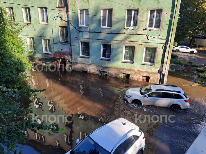 Калининград, улица Эльблонгская  | Фото: очевидец 