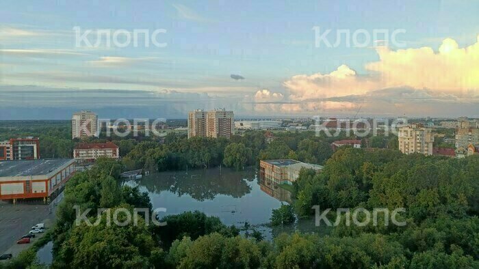 Что случилось в Калининградской области: главное на 25 августа - Новости Калининграда
