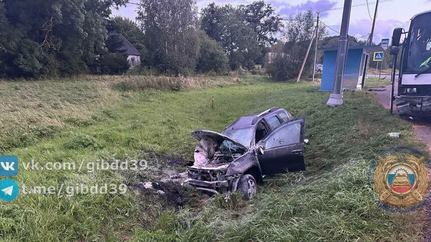 Под Гвардейском женщина на Renault попыталась «взять на слабо» автобус и улетела в кювет - Новости Калининграда | Фото: Госавтоинспекция Калининградской области