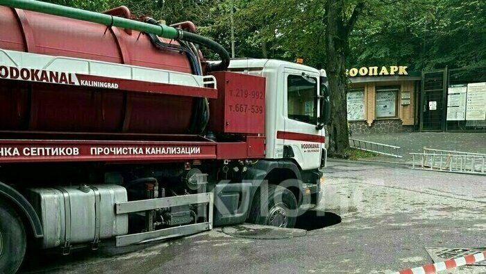 Что случилось в Калининградской области: главное на 26 августа - Новости Калининграда | Фото: «Клопс»