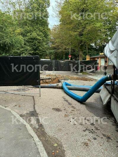 Такое под силу только стаду трубкозубов: перед входом в Калининградский зоопарк образовался гигантский провал (фото) - Новости Калининграда | Фото: «Клопс»