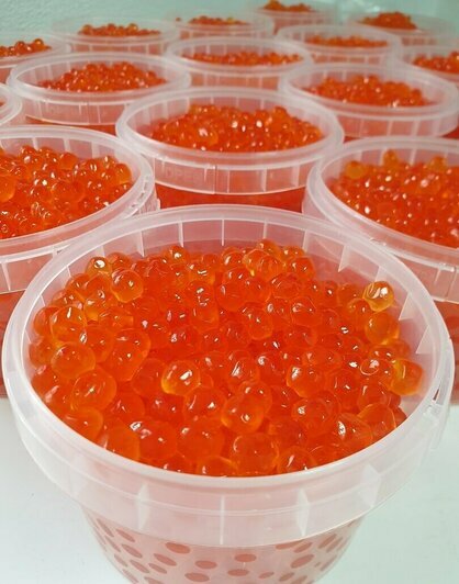 Где в Калининграде купить настоящую икру 2025 года по вкусной цене - Новости Калининграда