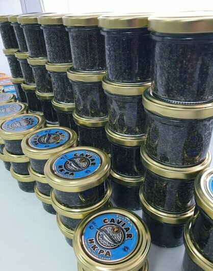 Где в Калининграде купить настоящую икру 2025 года по вкусной цене - Новости Калининграда