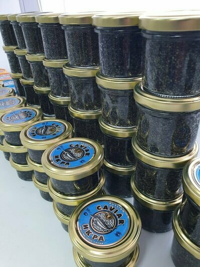 Где в Калининграде купить настоящую икру 2025 года по вкусной цене - Новости Калининграда