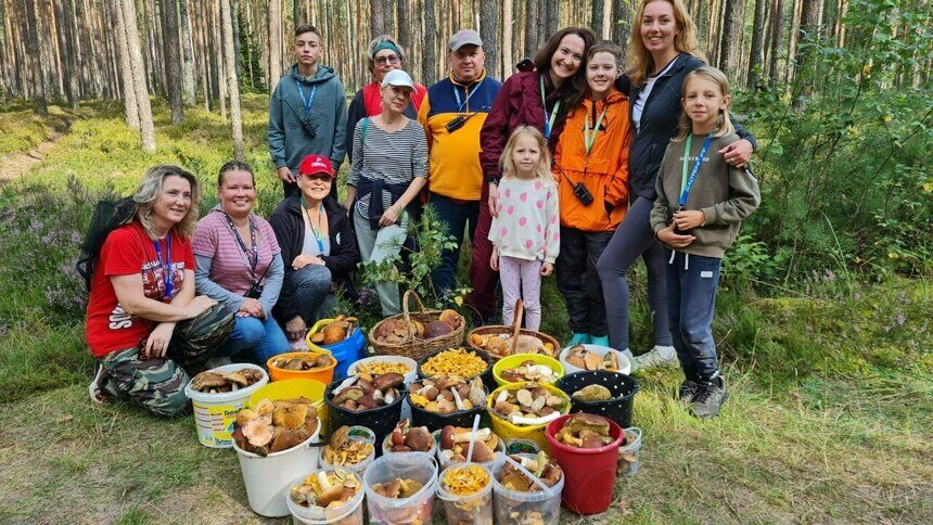 Пока не море, но уже встречаются: в Калининградской области открыт сезон «царских» рыжиков (фото)   - Новости Калининграда | Фото: сообщество «Грибы и грибники Калининградской области»