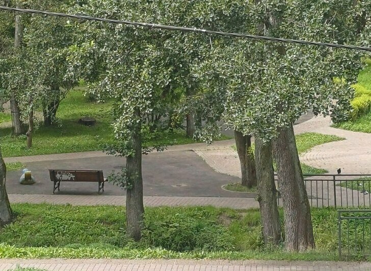 До и после: площадка на Жиленкова | Фото: Эльвира Оранцас