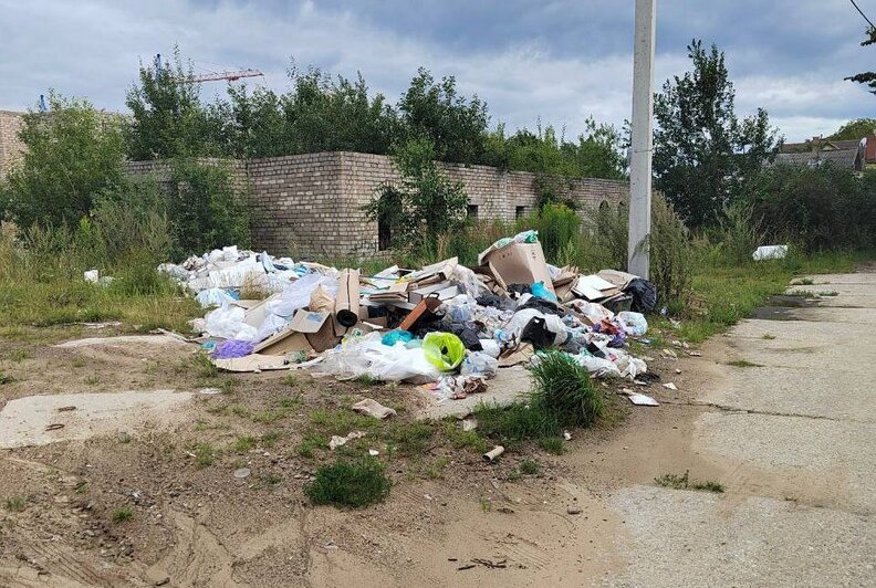 В Пионерском после жалоб жителей в соцсетях разобрали стихийную свалку на Береговой  - Новости Калининграда | Фото: прокуратура Калининградской области 
