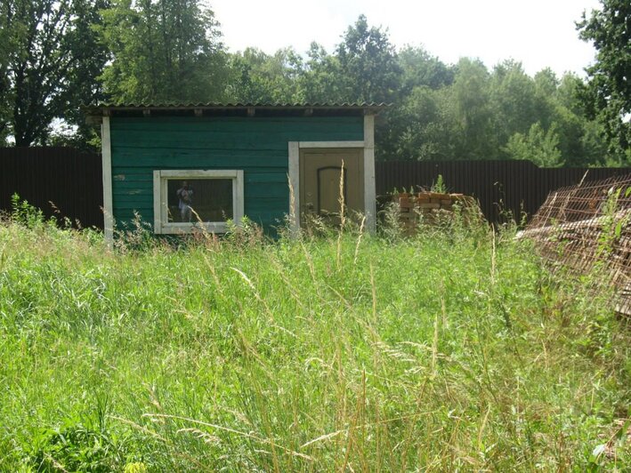В Правдинском округе через суд расторгли договор купли-продажи земли из-за фиктивного садового домика у водоёма - Новости Калининграда | Фото: прокуратура Калининградской области 