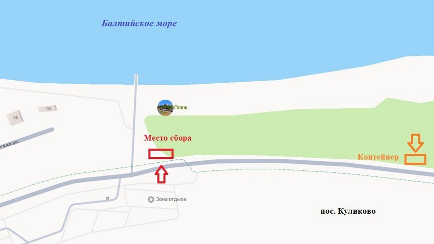 Власти организуют субботник в месте под Зеленоградском, где с поздней весны до осени отжигают любители коконов - Новости Калининграда | Иллюстрация: минприроды Калининградской области 