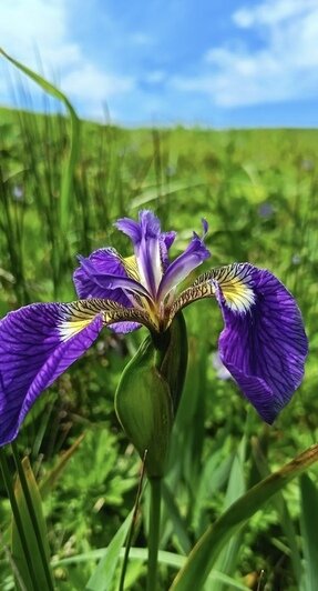 Калининградка слетала на Курилы, чтобы собрать пять тонн мусора (фото) | Фото: архив героя материала