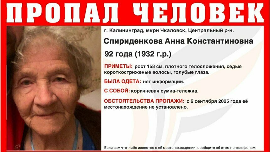 В Калининграде в микрорайоне Чкаловск пропала 92-летняя женщина - Новости Калининграда | Фото: ПСО «Запад»