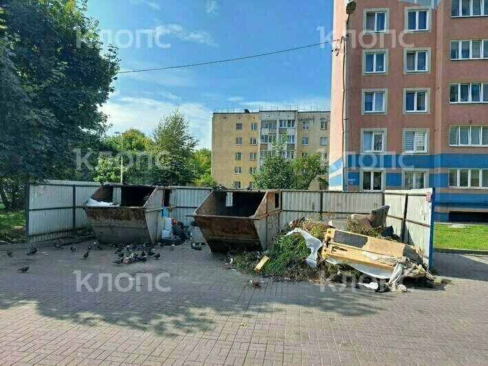 На дорогу выполз матрас: 5 мест в Калининграде, которым срочно требуется уборка (фото)  - Новости Калининграда | Фото предоставил местный житель