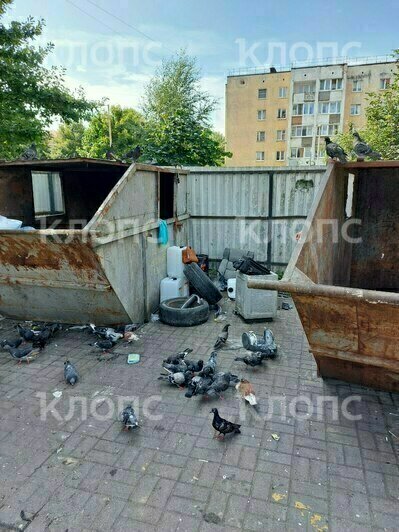 На дорогу выполз матрас: 5 мест в Калининграде, которым срочно требуется уборка (фото)  - Новости Калининграда | Фото предоставил местный житель