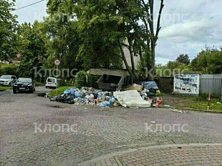 На дорогу выполз матрас: 5 мест в Калининграде, которым срочно требуется уборка (фото)  - Новости Калининграда | Фото: Лилия и другая местная жительница