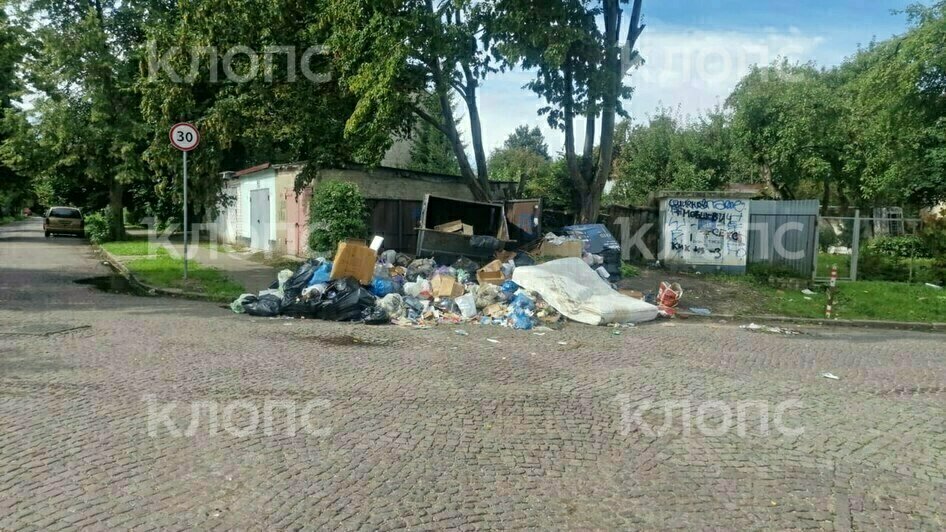 На дорогу выполз матрас: 5 мест в Калининграде, которым срочно требуется уборка (фото)  - Новости Калининграда | Фото: Лилия и другая местная жительница