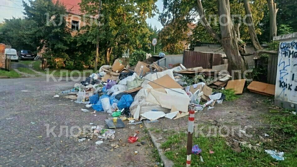 На дорогу выполз матрас: 5 мест в Калининграде, которым срочно требуется уборка (фото)  - Новости Калининграда | Фото: Лилия и другая местная жительница