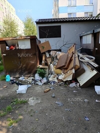 Снимки сделаны в разный период времени: с августа по сентябрь.  | Фото: Галина Аланцева