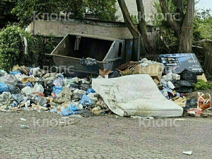 На дорогу выполз матрас: 5 мест в Калининграде, которым срочно требуется уборка (фото)  - Новости Калининграда | Фото: Лилия и другая местная жительница